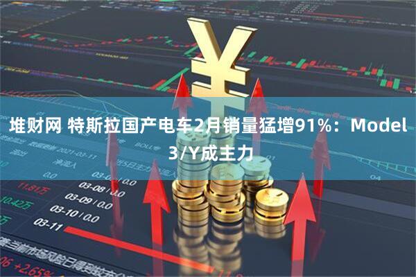 堆财网 特斯拉国产电车2月销量猛增91%：Model 3/Y成主力