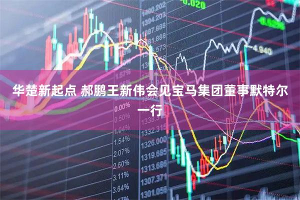 华楚新起点 郝鹏王新伟会见宝马集团董事默特尔一行