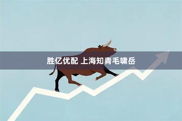 胜亿优配 上海知青毛啸岳